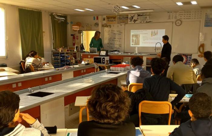 Die Seilparty „Succeed with sciences“ am Roumanille-College in Avignon – Jahr 2024-2025