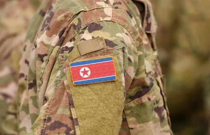 bereits mehr als 1.000 nordkoreanische Soldaten im Kampf gefallen?