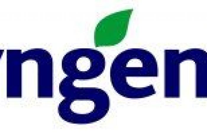 In Agadir bringt Syngenta 5 neue, resistentere Zucchini-Sorten auf den Markt! – AgriMaroc.ma