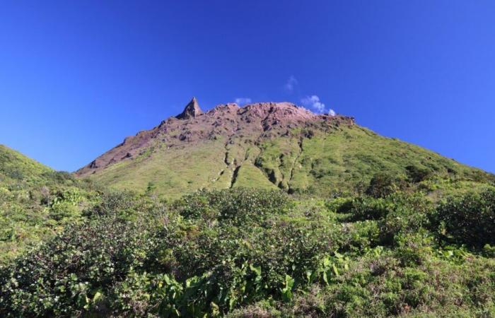 Die Eingeweide des Vulkans Soufrière in Guadeloupe in 3D kartiert