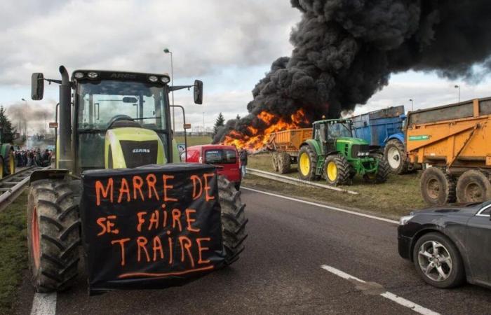 Neue Regierung: Die Agrargewerkschaften der Franche-Comté sind nach der Wiederernennung von Annie Genevard gespalten