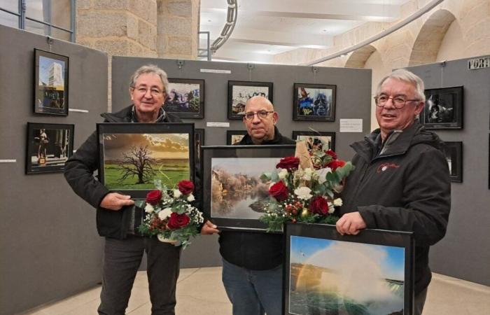 Warum wurde dieses im Land Alençon aufgenommene Foto ausgezeichnet?