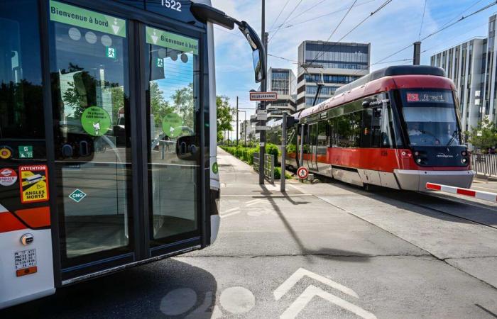 47 neue Gelenkgasbusse für Sytral Mobilités