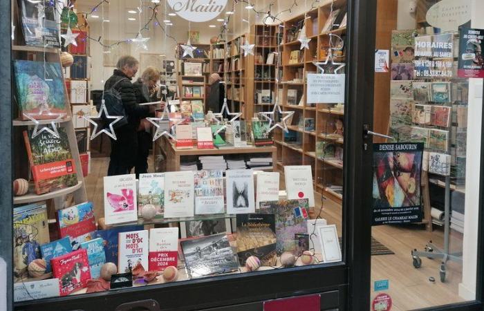 Möchten Sie ein Buch zu Weihnachten verschenken? Die Buchhändler von Béziers öffnen Ihnen ihre Welt