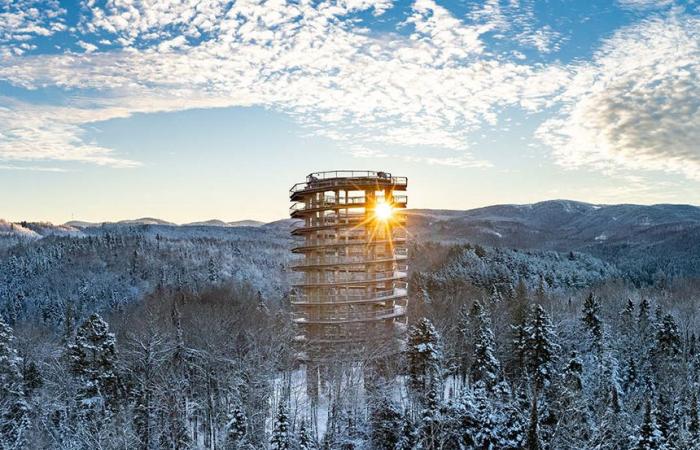 Aktivitäten | Sentier des Cimes: Nachtspaziergang mit Poutine und Tartiflette in der Luft