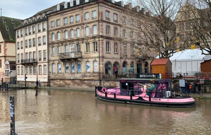 Batorama stellt den Verkehr seiner Boote in Straßburg aufgrund der Überschwemmung des Ill ein