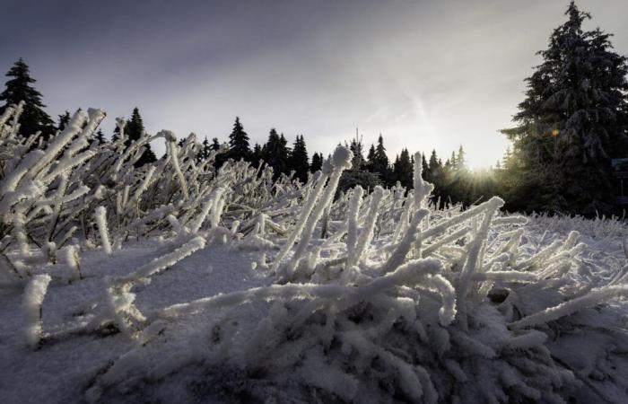 12:30 Uhr Nachrichten – Wetter in Frankreich: Starker Schneefall erwartet, Tankstellen füllen sich auf