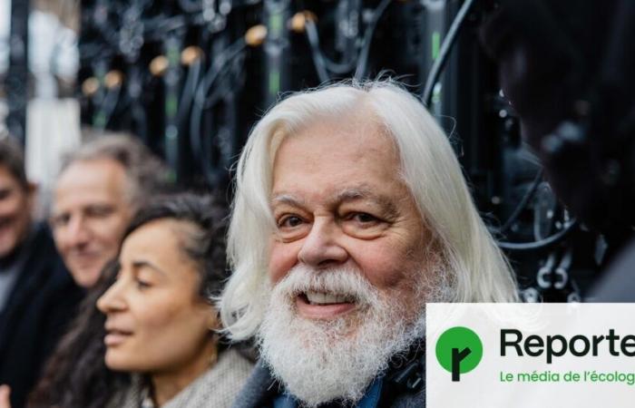 Zurück in Paris ist Paul Watson bereits bereit, wieder in die Schlacht zu ziehen