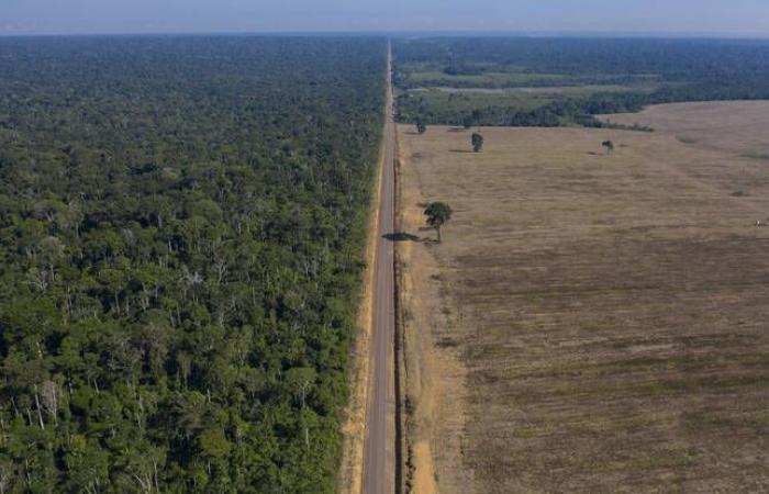 Zum ersten Mal werden Bilder eines isolierten Volkes im Amazonas-Regenwald enthüllt