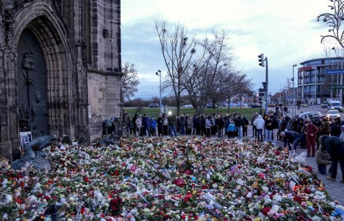 Rechtsextreme versammelten sich in Magdeburg – Migrationsdebatte neu entfacht