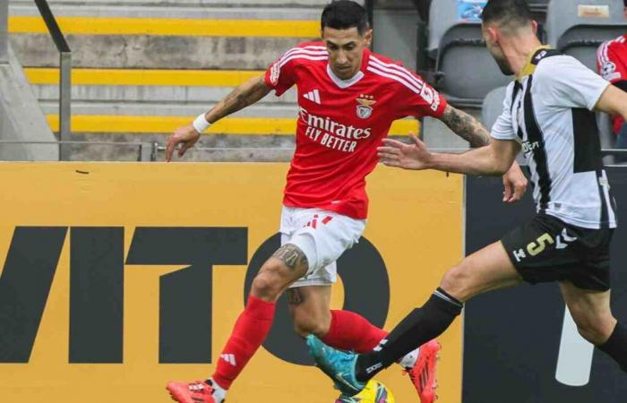 Benfica-Estoril Liga Portugal | Vorhersage der wahrscheinlichen Aufstellungen für TV-Streaming