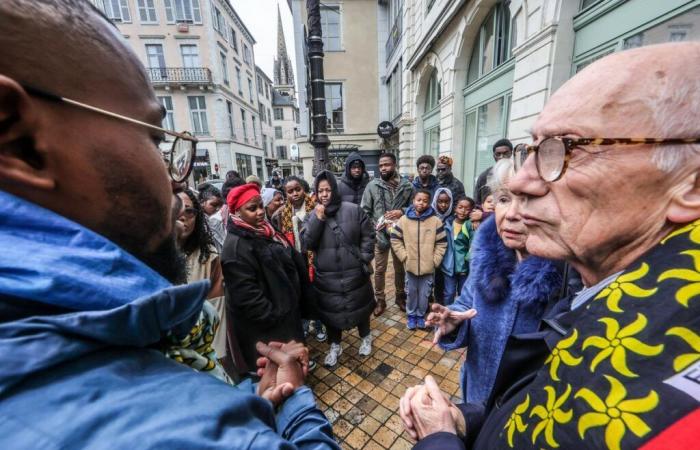 Sammelstelle, Kätzchen… Solidarität wird von Pau aus organisiert