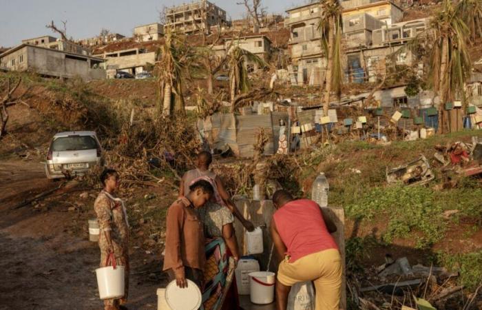 In Mayotte, das vom Zyklon heimgesucht wurde, stellt die gegen Antibiotika resistente Cholera eine neue Gefahr dar. Folgendes wissen wir