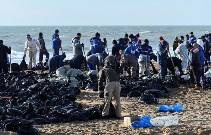 Russland | Die durch eine Ölpest verunreinigte Bodenmenge könnte 200.000 Tonnen erreichen