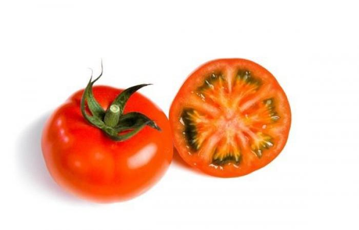 Neue Gewächshäuser für Stoffels Tomaten (Belgien)