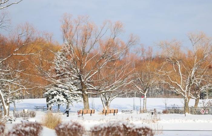 Bis Dienstagmorgen | In Quebec werden 10 bis 15 cm Schnee erwartet