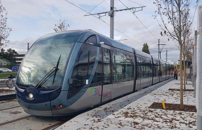 Transport, öffentliche Dienstleistungen, Mülleimer … Update zu den Fahrplänen am 24. und 25. Dezember in Bordeaux