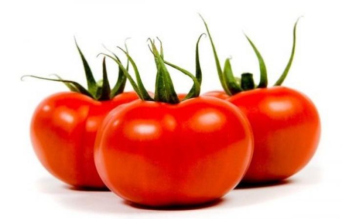 Neue Gewächshäuser für Stoffels Tomaten (Belgien)