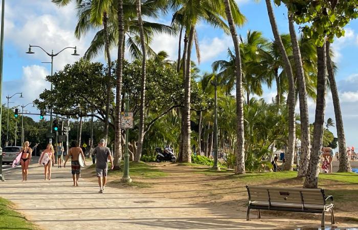 PAX zum Ziel: Air Canada Vacations präsentiert die Insel Oahu