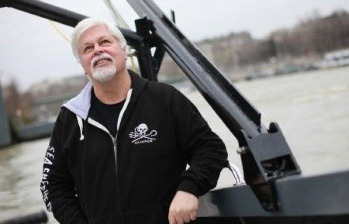 Zurück in Paris ist Paul Watson bereits bereit, wieder in die Schlacht zu ziehen