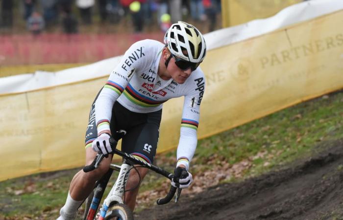 LIVE Cyclocross Superprestige Mol 2024 LIVE