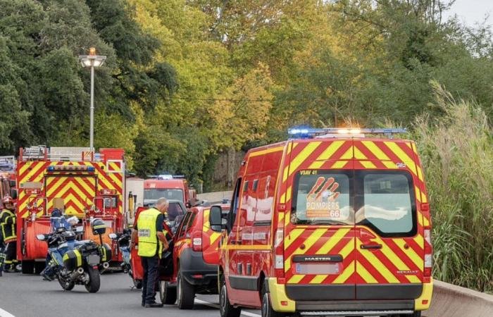 Mann stirbt von Baum zerquetscht