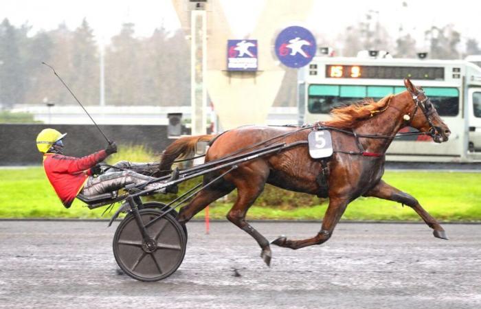 Prix ​​​​de Bourgogne America Races Q5 2024: Josh Power ohne Druck