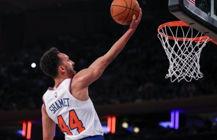 Die Knicks holen Landry Shamet zurück • Basket USA