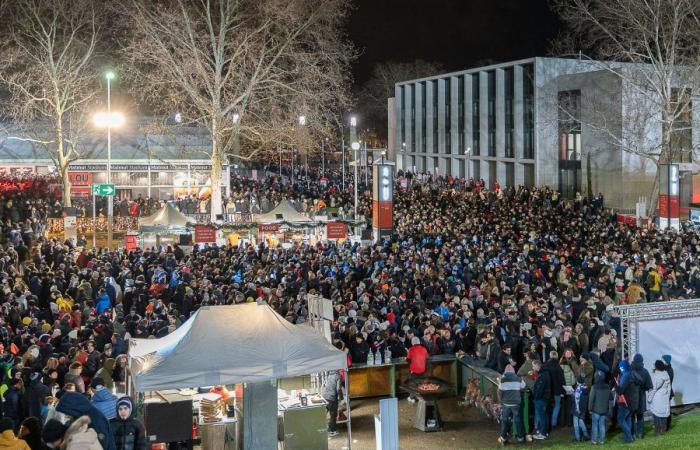 Die LOU Rugby VIP-Tribünen – Toulouse. Tolle Abendstimmung in Gerland –