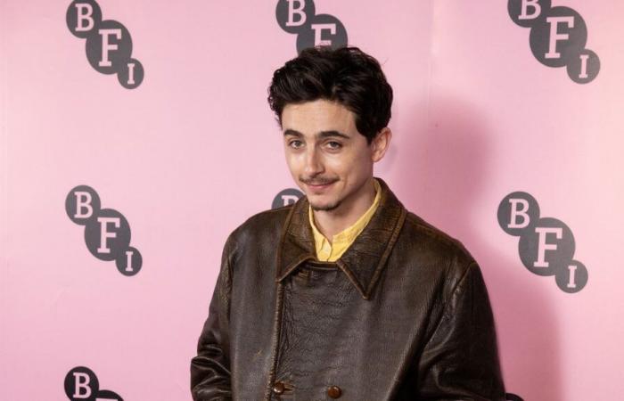 Timothée Chalamets ausgetragenes Paar Nike Airs passt zu seinem neuen Spitzbart