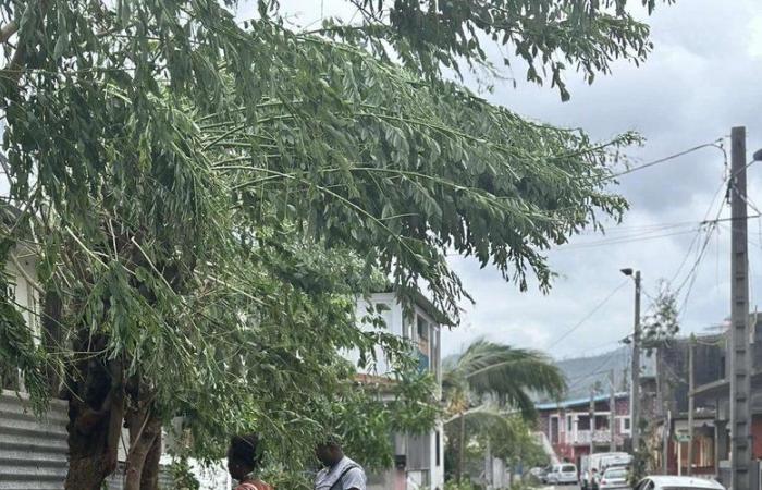 „Meine Schwester brauchte eine Woche, um mir Neuigkeiten über meinen Vater zu überbringen“: von Foix nach Mayotte, dem Anliegen der Mahorais von Ariège