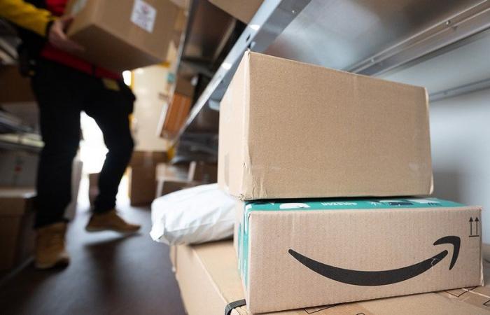 „Gestresster“ Amazon-Lieferfahrer wirft 80 Pakete in Waldgebiet ab: Polizei