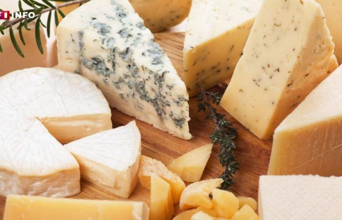 „Es ist immer etwas im Kühlschrank“: Finden Sie heraus, welcher Käse in Frankreich zum besten gekürt wurde