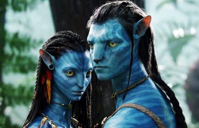 „Der Verlust wird große Auswirkungen haben“: Zoe Saldaña erwartet den heiklen Moment, den Jake und Neytiri in Avatar 3: Fire and Ash durchmachen werden