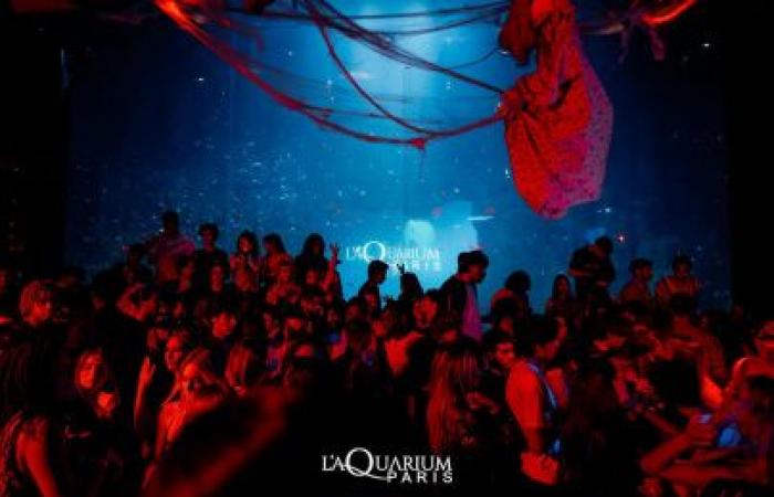 Aquarium Club: ein magischer Silvesterabend im Herzen von Paris