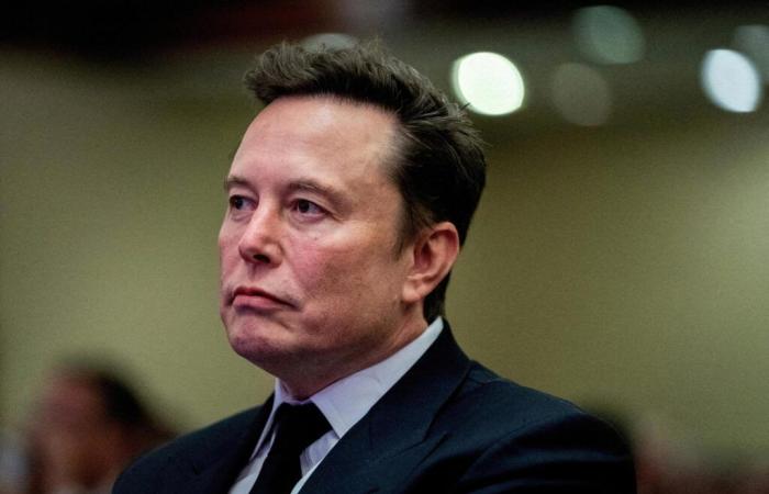 „Elon Musk muss möglicherweise mehr gegen private Interessen als gegen Bürokraten kämpfen“