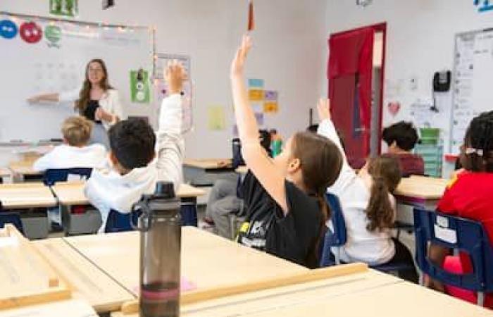 [PHOTOS] Ein Tag im Leben eines „Klassenzimmerhelfers“