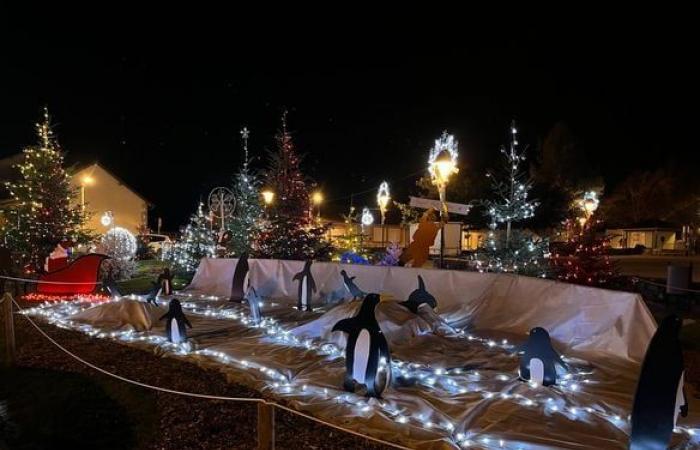 Lichter, Teddybären… Die festliche Atmosphäre der Gemeinden des Ballungsraums Limoges in Bildern