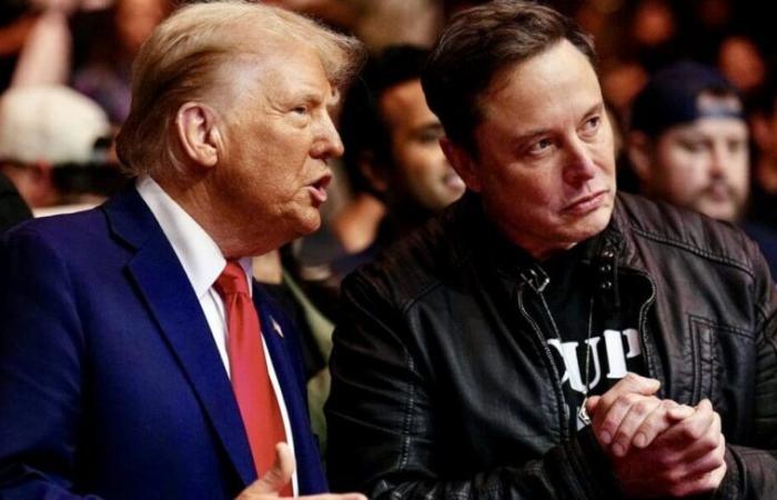 Vereinigte Staaten von Amerika | Musk-Präsident? „Das kann nicht sein“, sagt Trump