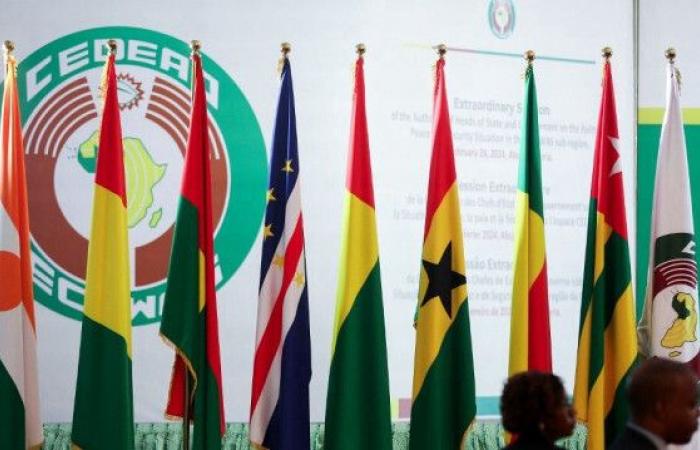 AES-Länder, ein visumfreier Bereich für ECOWAS-Staatsangehörige