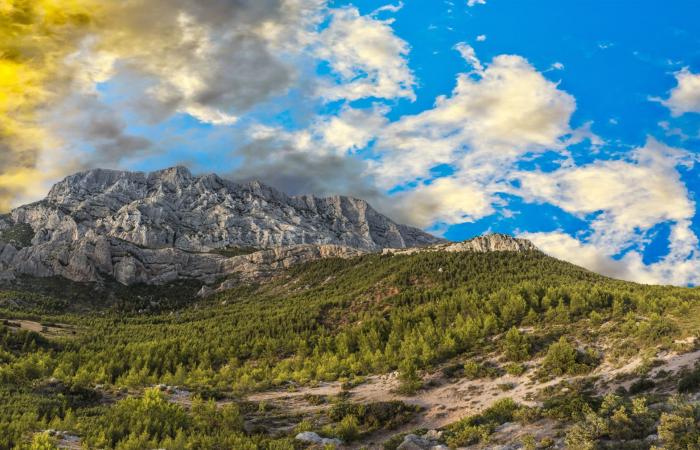 Aix-en-Provence: Cézanne-Jahr 2025 reservieren Sie Ihre Plätze!