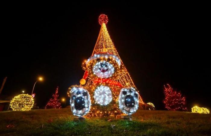 Lichter, Teddybären… Die festliche Atmosphäre der Gemeinden des Ballungsraums Limoges in Bildern