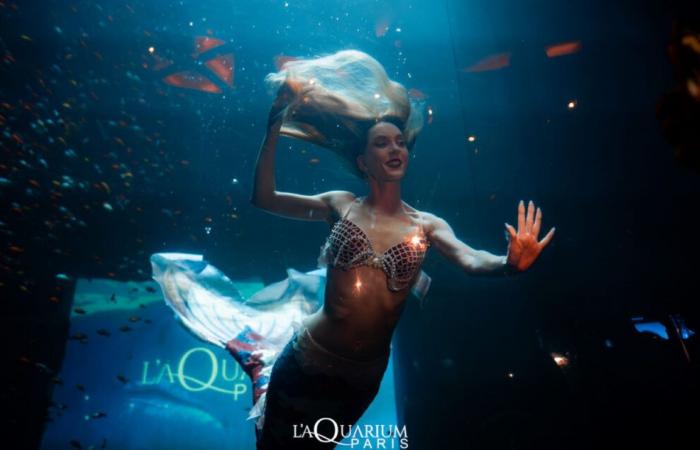 Aquarium Club: ein magischer Silvesterabend im Herzen von Paris