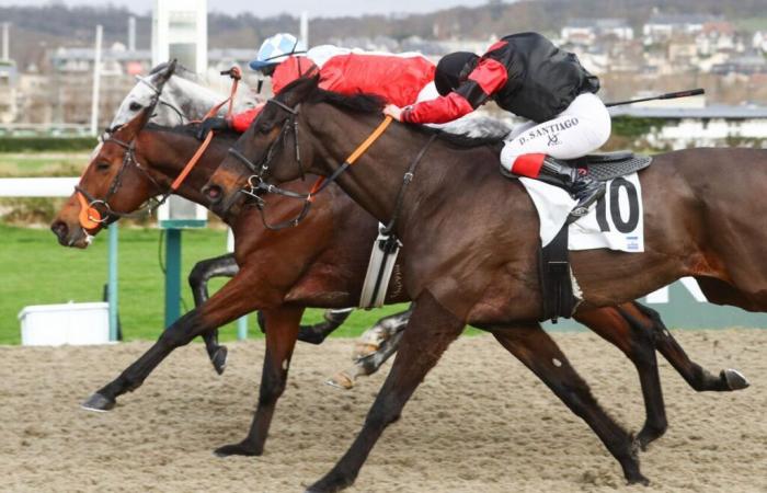 Der Favorit Cassius gewinnt im Quinté vom 23. Dezember in Deauville