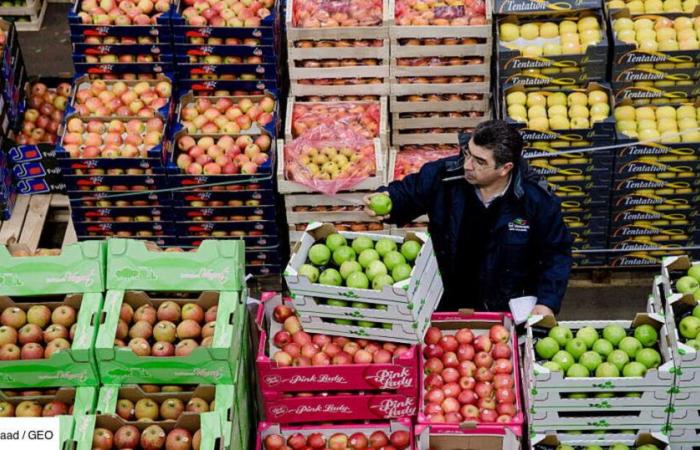 Forellen, Wachteln, Austern… Wie Rungis der Inflation zuvorkommt und Feinschmecker verführt