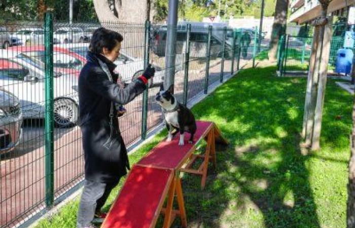 Cannes eröffnet seinen ersten Hundepark im Stadtzentrum