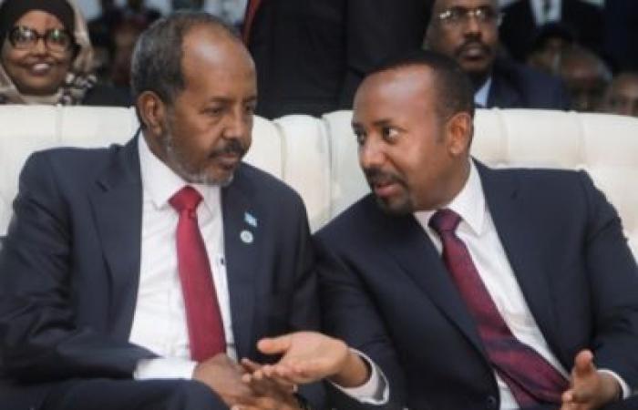 Somalia und Tansania stärken ihre Partnerschaft