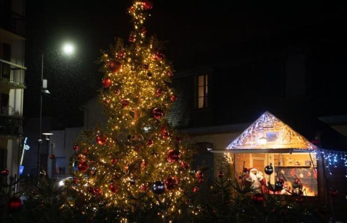 Lichter, Teddybären… Die festliche Atmosphäre der Gemeinden des Ballungsraums Limoges in Bildern