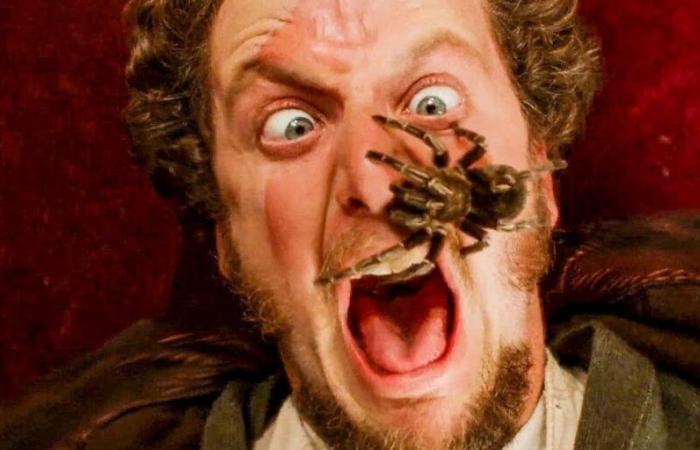 Home Alone Star enthüllt gruselige Begegnung mit einer echten Spinne am Set