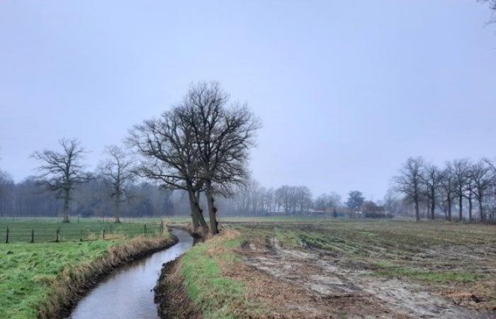 Nicht weiße, sondern graue Weihnachten: Code Gelb für rutschige Straßen in der Wallonie